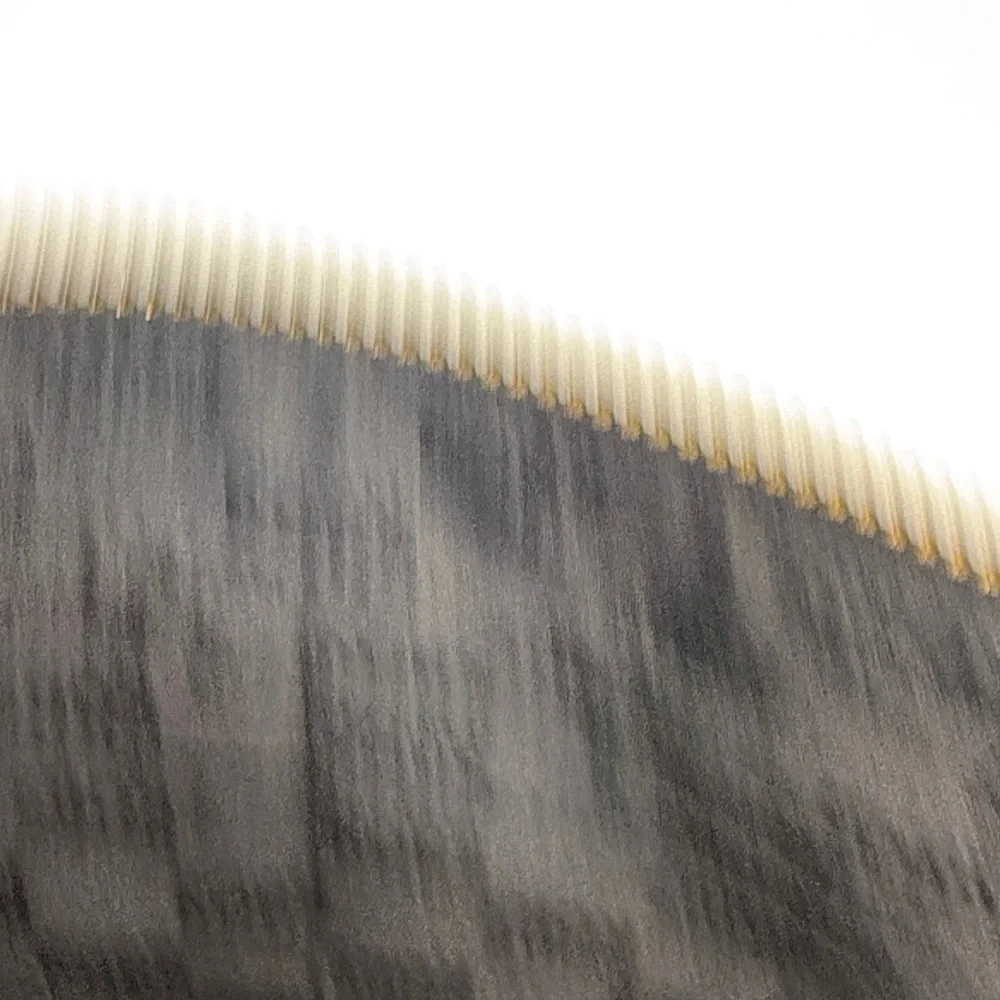 Michael Kors Black Wristlet with Gold Accents